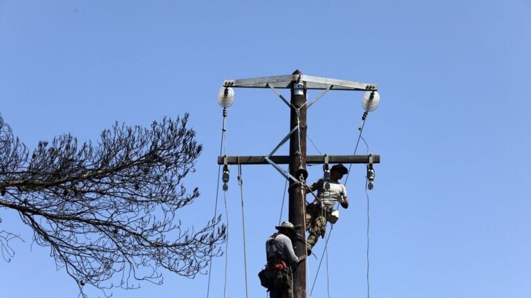 image Τρίκαλα: Υλοτόμος έκοψε αγωγό ρεύματος 20.000 volt – Γλίτωσε από θαύμα και προκάλεσε μπλακ άουτ