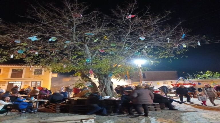 image Μέας Ερμής Βάρους: ανάβουμε το Χριστουγεννιάτικο Δέντρο Σάββατο 2 Δεκεμβρίου στις 18:30.