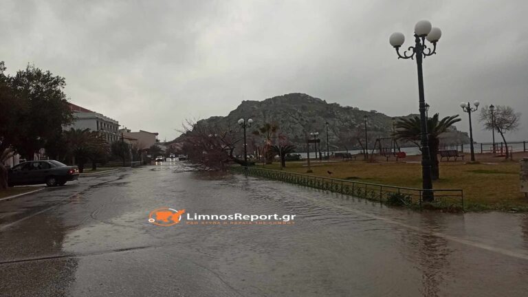 image Λήμνος: Με χαλάζι και 9 μποφόρ χτύπησε η κακοκαιρία, ξεριζώθηκαν δέντρα .(βίντεο)