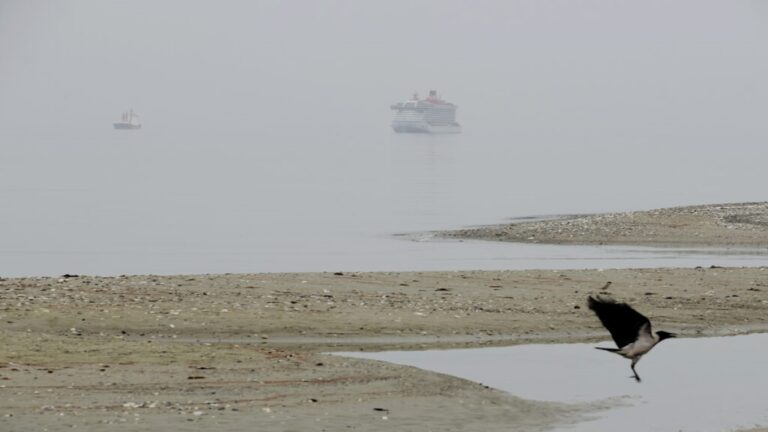 image Κύπρος – Αφρικανική σκόνη: Μην βγείτε από το σπίτι, λένε οι Αρχές στις ευάλωτες ομάδες