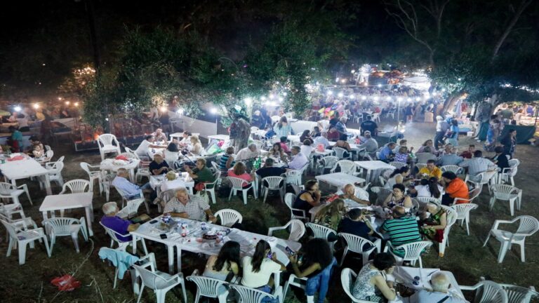image Ηλεία: Από προβατίνα η τροφική δηλητηρίαση 37 ατόμων στο πανηγύρι