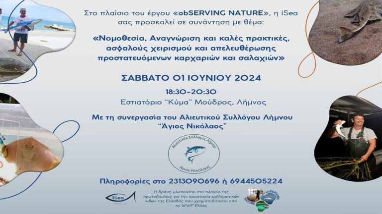 image Η iSea-obSERVING NATURE: Διοργάνωση Συνάντησης, Εργαστηρίου για καρχαρίες και σαλάχια, Σάββατο 1 Ιουνίου στο Μούδρο.