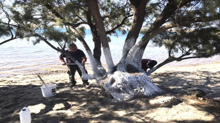 image Η Καλλιθέα “φόρεσε τα καλοκαιρινά της” ! (Φωτο)