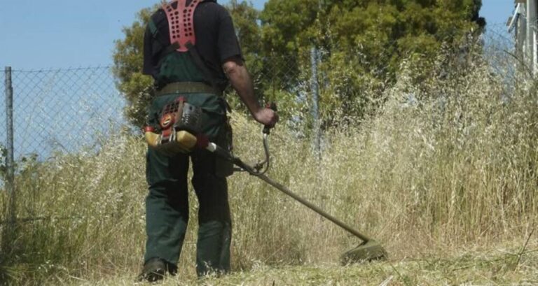 image Καθαρισμός οικοπέδων: Υποχρεωτικός από την 1η Απριλίου – Η διαδικασία δήλωσης και τα πρόστιμα