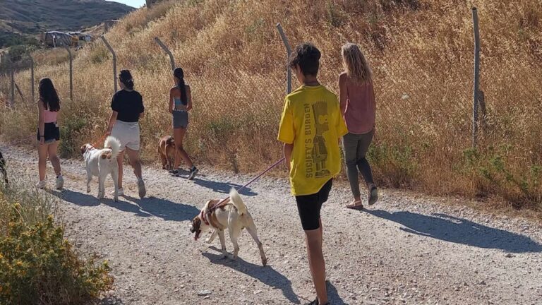 image Μαθητές της Α’ Τάξης του Γυμνασίου Μούδρου  στο καταφύγιο ζώων.(φωτο)