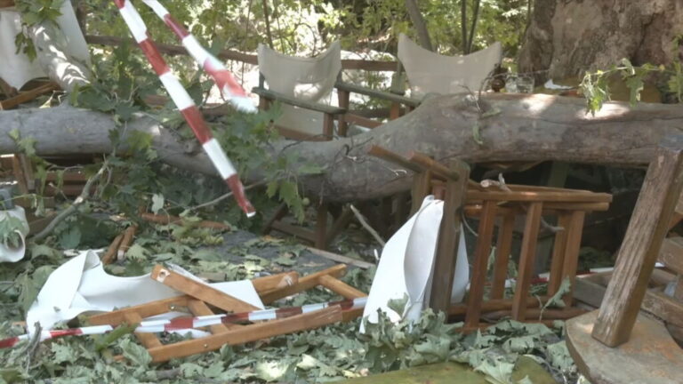 image Κατερίνη: Νεκρή 44χρονη από κλαδί πλατάνου – Την καταπλάκωσε ενώ βρισκόταν σε κατάστημα εστίασης
