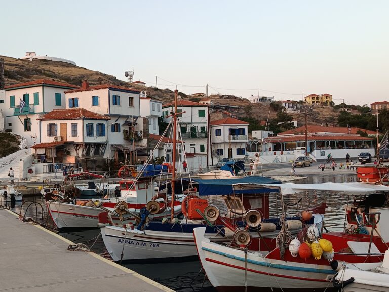 image Χρηματοδότηση 500.000 ευρώ για Άγιο Ευστράτιο ανακοίνωσε ο Πρωθυπουργός