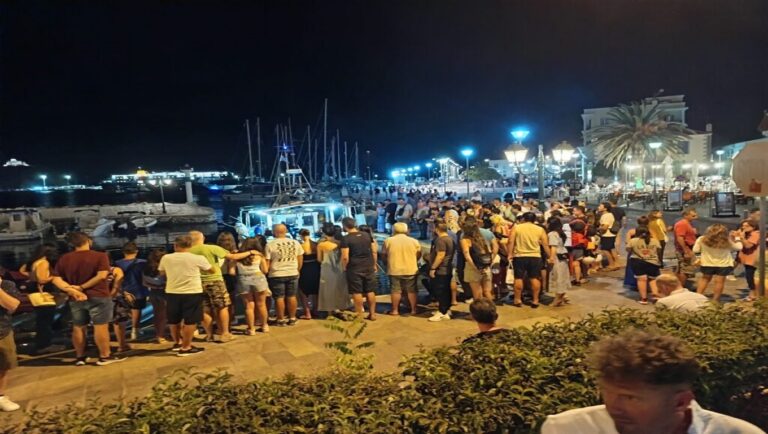 image H φώκια της Λήμνου …κάνει βόλτα στο λιμάνι της Μύρινας.(βιντεο+φωτο)