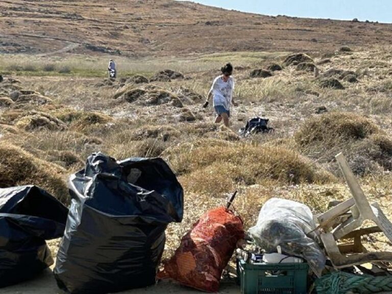 image Οι “Νέοι Καμινίων” καθάρισαν την παραλία “Ξεσπάματα”. Συγκεντρώθηκαν 900κιλά πλαστικά απορίμματα.