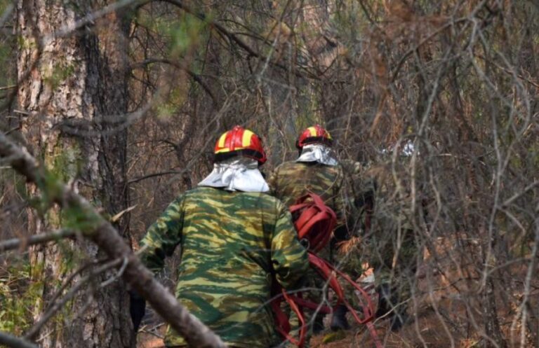 image «Δεν έχουν πάρει μυρουδιά στο ΥΠΕΘΑ» και ετοιμάζουν τις Ένοπλες Δυνάμεις για «δασοπερίπολα»!
