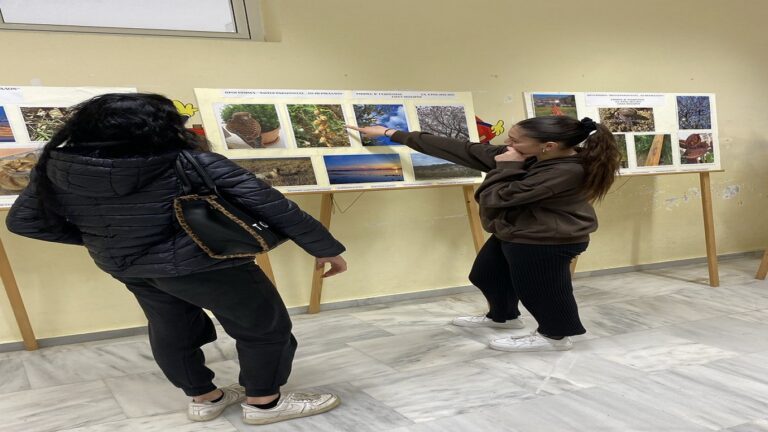 image Έκθεση Φωτογραφίας ΕΠΑΛ Μούδρου: “Φωτογραφίζοντας… το Περιβάλλον