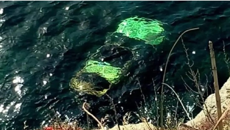 image Τραγωδία στην Άνδρο: «Το αυτοκίνητο είχε μισοβυθιστεί και η 67χρονη φώναζε “βοήθεια”», λέει αυτόπτης μάρτυρας