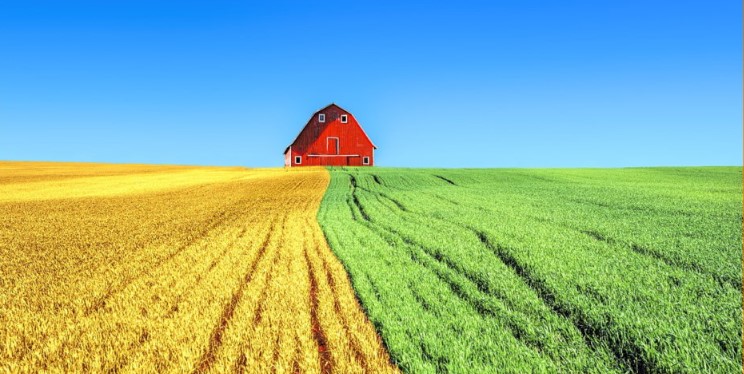 image Από 14 έως 28 Μαΐου οι ηλεκτρονικές αιτήσεις για το πρόγραμμα βιολογικής γεωργίας και κτηνοτροφίας, ύψους 287,5 εκ. €