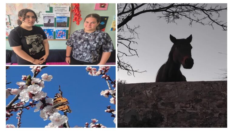 image 3ο βραβείο για το Γυμνάσιο Μούδρου στον διανησιωτικό διαγωνισμό φωτογραφίας