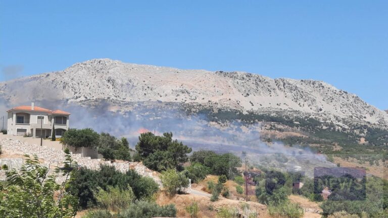 image Σε τρία μέτωπα η πυρκαγιά στη Χίο – Διαδοχικά μηνύματα του 112 για απομάκρυνση των πολιτών