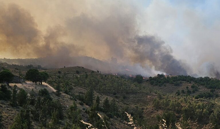 image Δίπλα από αδήλωτα μελίσσια ξεκίνησε η μεγάλη φωτιά στον Υμηττό – Πρόστιμο και στον πρύτανη του ΕΚΠΑ για τις ακαθάριστες εγκαταστάσεις