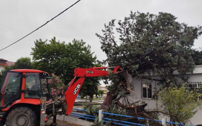 image Καρδίτσα: Ζημιές σε καλλιέργειες από το μπουρίνι – 57 κλήσεις για πτώσεις δέντρων δέχτηκε η Πυροσβεστική