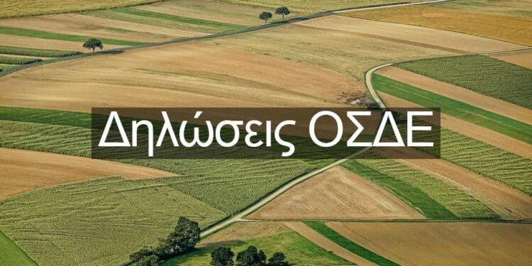 image ΑΓΡΟΤΕΣ- Επείγον μήνυμα: Μέτρο 23-Παράταση έως 20 Ιουνίου – Όλες οι δηλώσεις ΟΣΔΕ 2025 και τι να προσέχουν οι αγρότες για να μη χάσουν έως 9.600€ ενισχύσεις