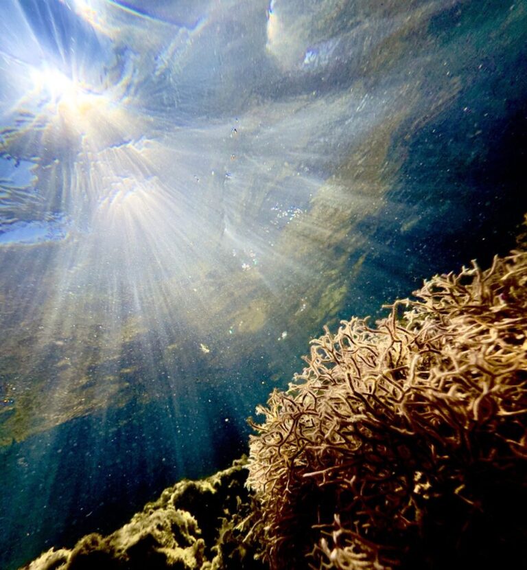 image «Υποβρύχια Λήμνος» με το φωτογραφικό φακό της Claudia Sherwood