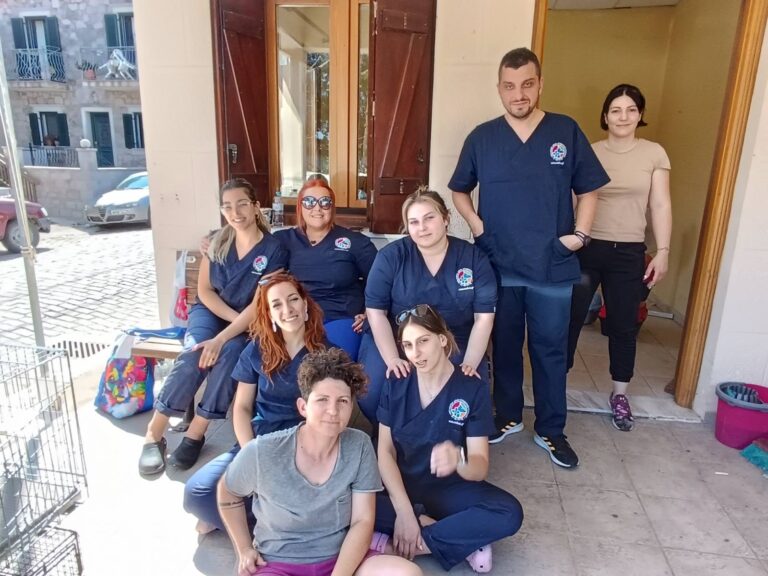 image Στειρώσεις σε 150 αδέσποτες γάτες σε συνεργασία με την Εθελοντική Δράση Κτηνιάτρων Ελλάδος και το Animal Rescue Lemnos