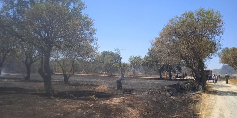 image Η ανακοίνωση της Π.Υ. Μύρινας για την φωτιά στο Κοντοπούλι.