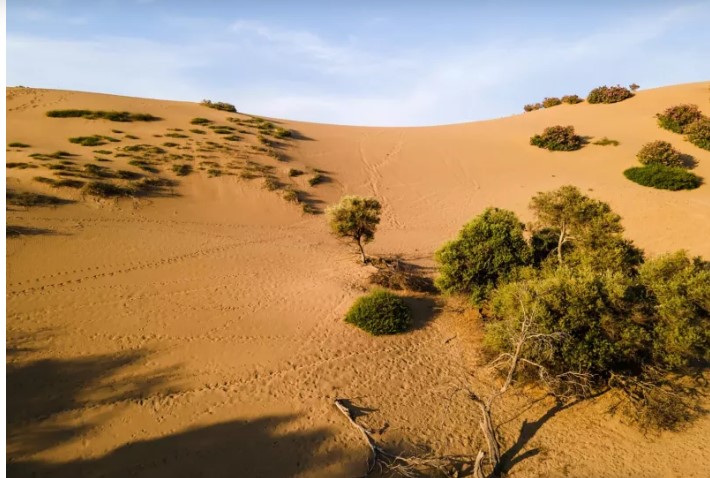 image Για sand boarding στις Αμμοθίνες της Λήμνου – Η ελληνική Σαχάρα που μαγεύει τους επισκέπτες του νησιού