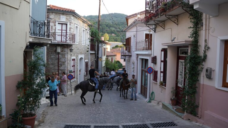 image Μάχη για τη τη ζωή του δίνει ο 25χρονος που δέχθηκε κλωτσιά από το άλογό του σε πανηγύρι της Λέσβου – Πώς έγινε το ατύχημα