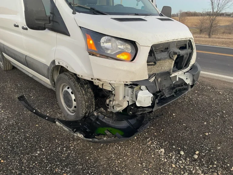 image Από θαύμα  αποφεύχθηκαν τα χειρότερα, ελάφι χτύπησε σε όχημα στον περιφερεικό Μύρινας.