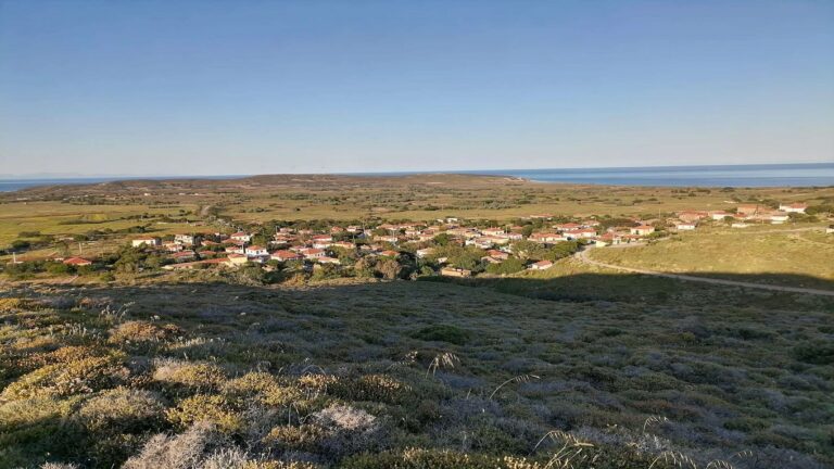 image Σύλλογος Σκανδαλιωτών Λήμνου “Ο Άγιος Νικόλαος”, εκδηλώσεις για μικρούς και μεγάλους 10-13  Αυγούστου.