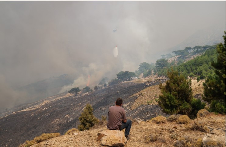 image «Μεγάλη ζημιά στη Χίο» λέει ο Μουτζούρης – «Εκτός κλίματος οι δηλώσεις Βούλτεψη»
