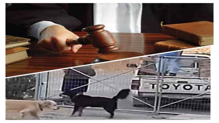 image Λήμνος: Πρόστιμο 18.900 €, δικογραφία και αφαίρεση αδειών οπλοκατοχής για την εγκατάλειψη τριών σκύλων