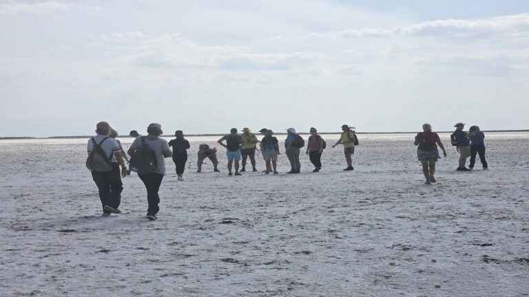 image Έξι ημέρες γνώσης και εμπειριών στη Λήμνο για τους “Γεωπαιδίττες”.