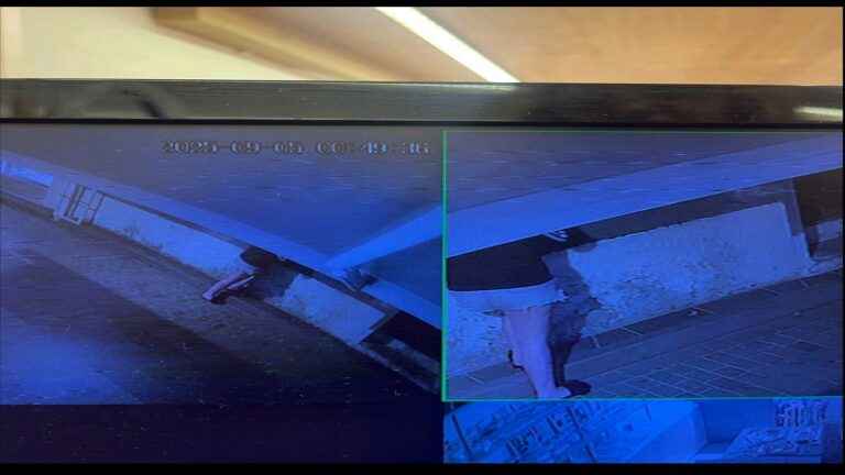 image Μικρό γατάκι εξαφανίστηκε στη Λήμνο – Ερωτήματα για τη νομιμότητα ανάρτησης βίντεο από κάμερες.