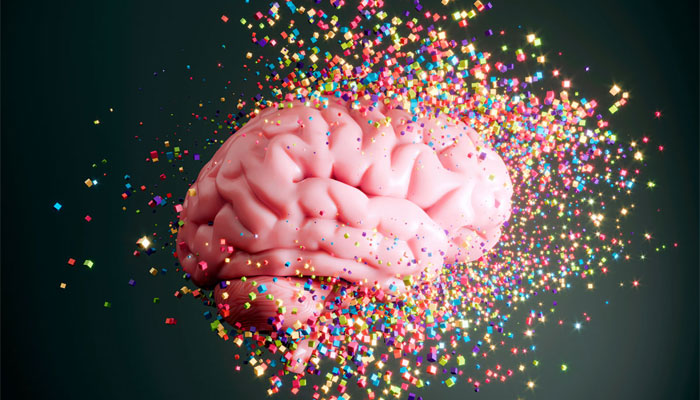 image Προσδοκία vs Ανταμοιβή: Η Μάχη της Ντοπαμίνης στον Εγκέφαλο