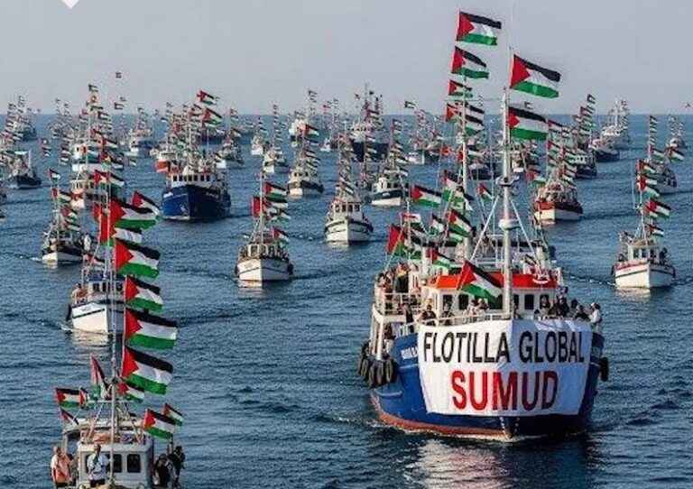 image Πορτογαλία: Απαιτεί από τους ακτιβιστές της Flotilla να πληρώσουν τα έξοδα επαναπατρισμού τους