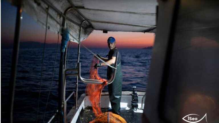 image Ο «Μπλε Πνεύμονας» της Ανατολικής Μεσογείου βρίσκεται στη Λήμνο!