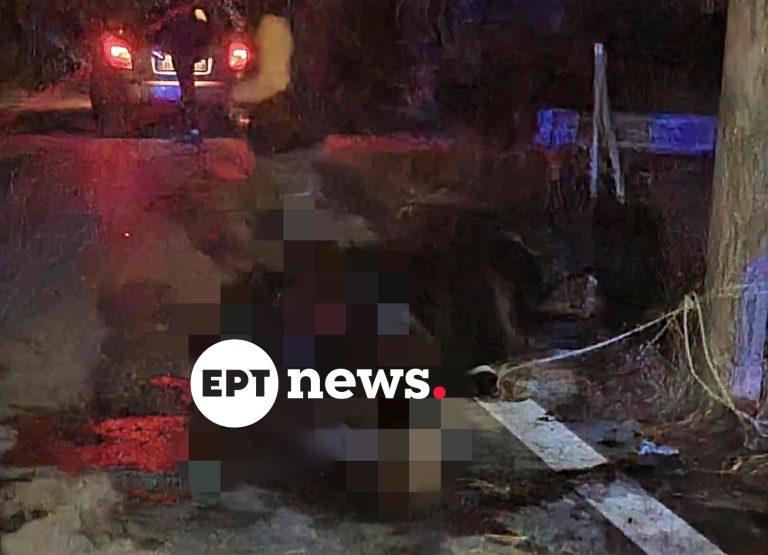 image Λέσβος: ΙΧ συγκρούστηκε με ανεπιτήρητο άλογο στην Πέτρα – Νεκρό το ζώο