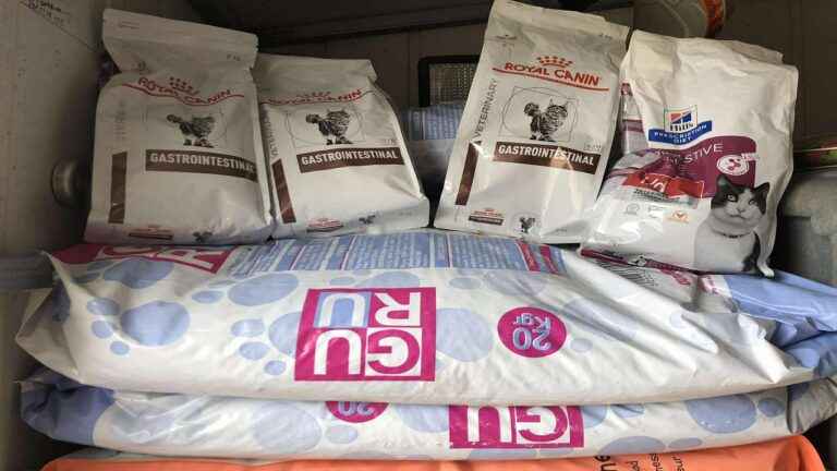 image Φιλοζωικό Σωματείο Λήμνου: οικονομική δωρεά για αγορά τροφών για γάτες.