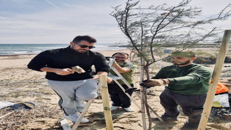 image Πρωτοβουλία του Συλλόγου Σκανδαλιωτών Λήμνου: Νέα δενδροφύτευση στην παραλία Λουρί