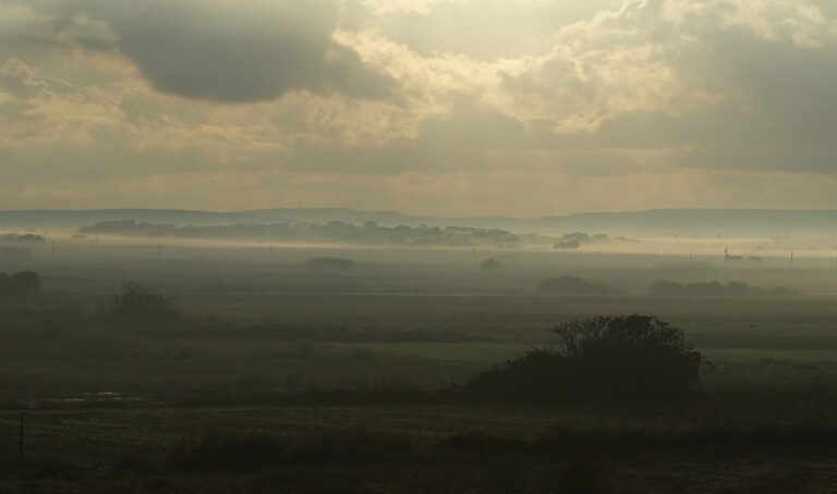 image Παλλημνιακό Ταμείο: Και την νέα καλλιεργητική περίοδο 2025-26 “χέρι-χέρι” με ΒΕΡΓΙΝΑ και ΠΟΡΙΑΖΗ