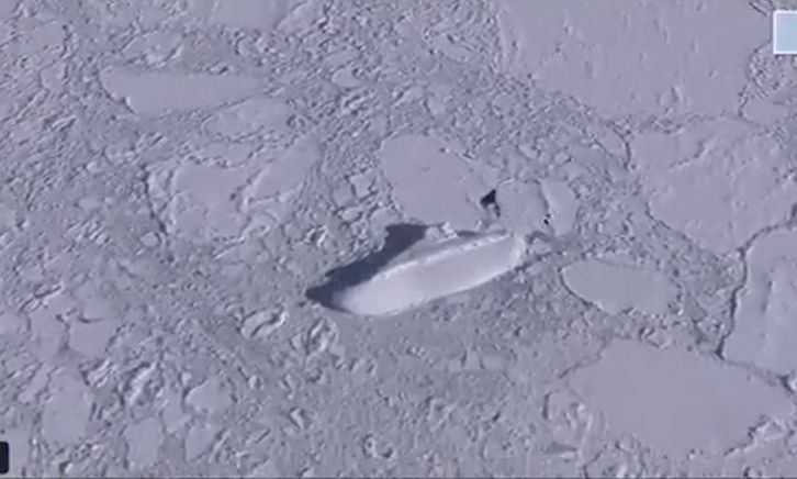 image Ένα μυστηριώδες «παγωμένο πλοίο» 120 μέτρων εντόπισε το Google Earth στην Ανταρκτική