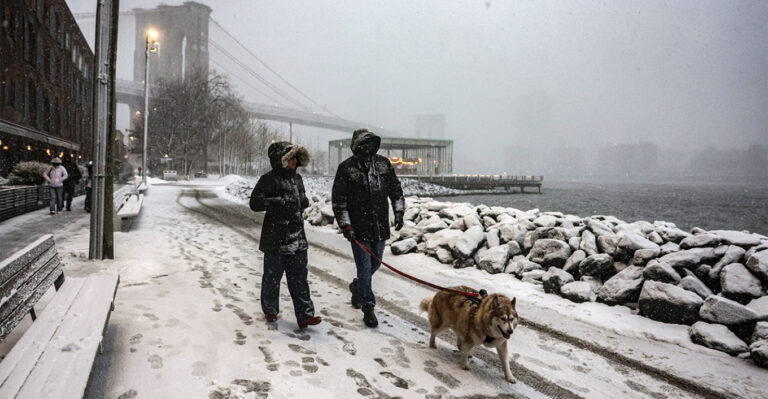 image Λευκός «εφιάλτης» στη Νέα Υόρκη και προειδοποιήσεις για χιονοθύελλα: Ακυρώσεις πτήσεων και συστάσεις για περιορισμό των μετακινήσεων, δείτε βίντεο